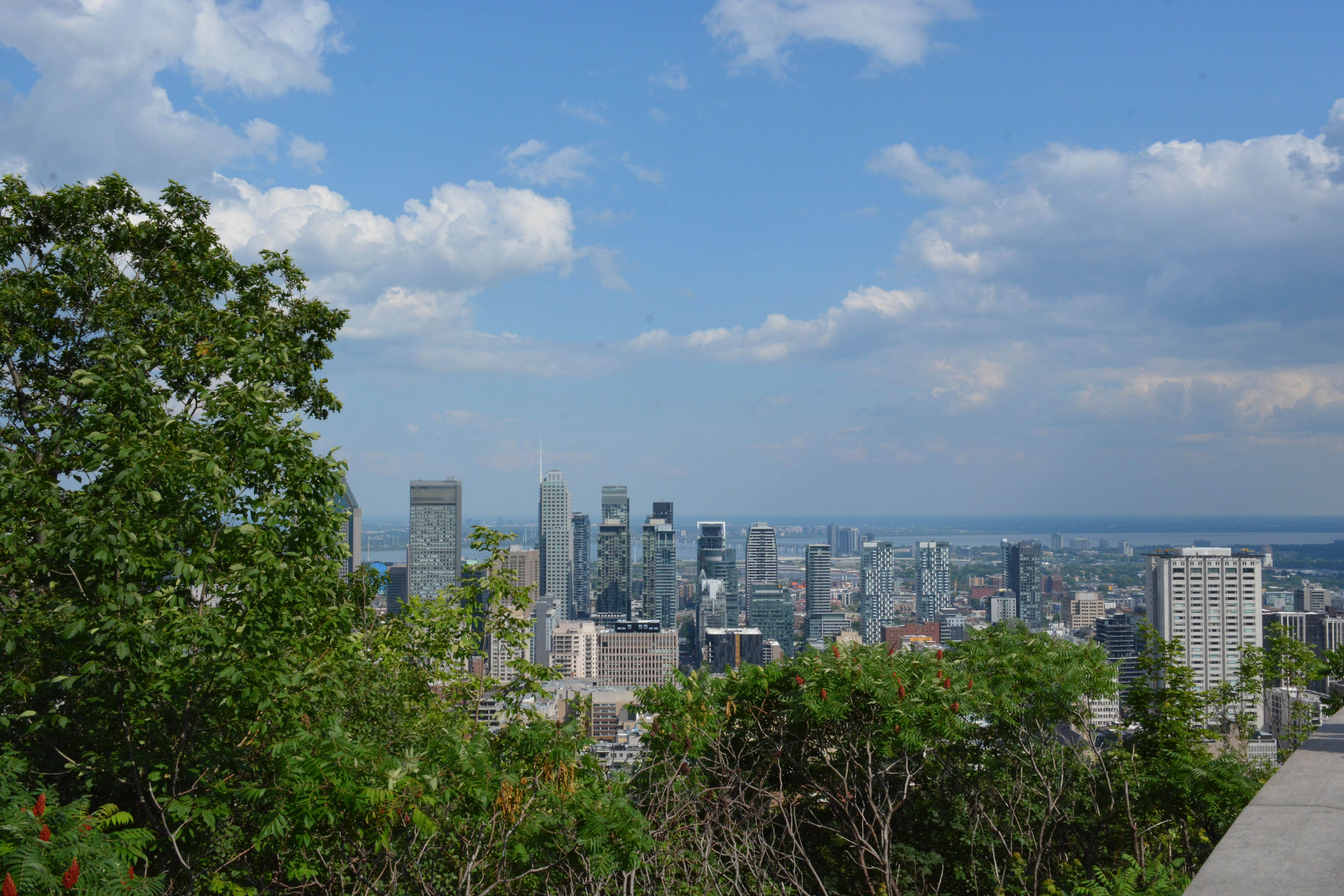 Vue sur le centre de Montréal depuis le mont Royal